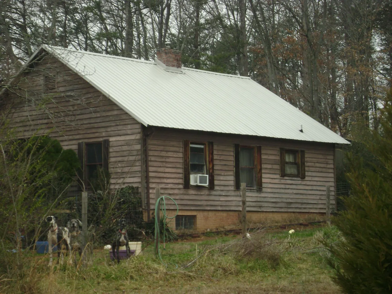 White metal roof on an old wood sided farmhouse, from a Asphalt Shingle Roof Repair job in Pomfret